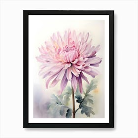 Pink Chrysanthemum Flower Art Print