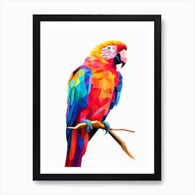 Colourful Geometric Bird Parrot 3 Art Print