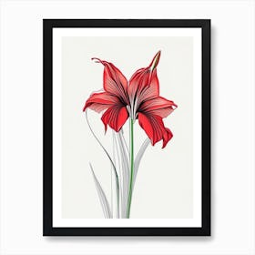 Amaryllis Floral Minimal Line Drawing 2 Flower Art Print