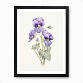 Violets Flower Vintage Botanical 1 Art Print