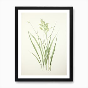 Lemon Grass Vintage Botanical Herbs 0 Art Print