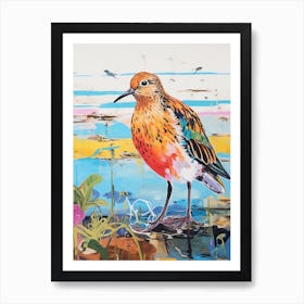 Colourful Bird Painting Dunlin 3 Art Print