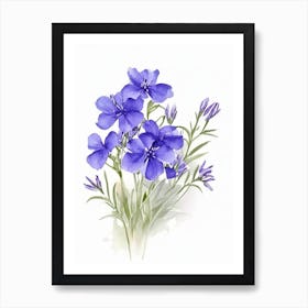 Wild Blue Phlox Wildflower Watercolour 2 Art Print