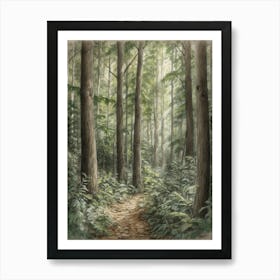 Path In The Woods 12 Art Print