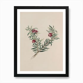 Cypress Art Print