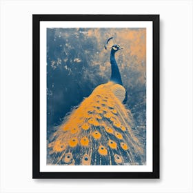 Blue & Orange Peacock In The Wild 4 Art Print