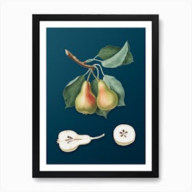 Vintage Pear Botanical Art on Teal Blue n.0450 Art Print