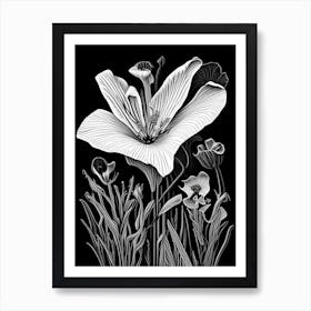 Desert Mariposa Lily Wildflower Linocut 2 Art Print