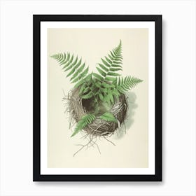Vintage Illustration Birds Nest Fern 1 Art Print