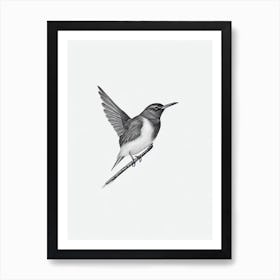 Dipper B&W Pencil Drawing 2 Bird Art Print