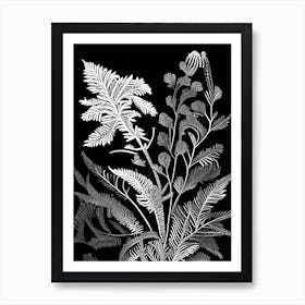 Ebony Spleenwort Wildflower Linocut 2 Art Print