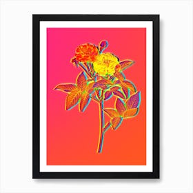 Neon Van Eeden Rose Botanical in Hot Pink and Electric Blue n.0061 Art Print