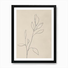 Leaf Drawing 2 Art Print