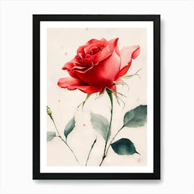 Red Rose Art Print