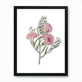 Pink Flowers On A Branch Art Print