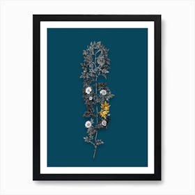 Vintage Cuspidate Rose Black and White Gold Leaf Floral Art on Teal Blue Art Print