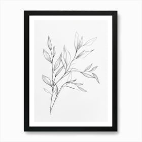 Pencil Drawing Of A Leaf Art Print