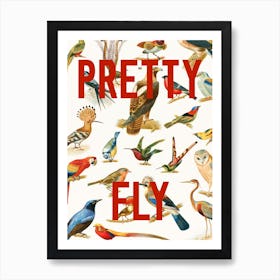 Pretty Fly Bird Pattern Art Print