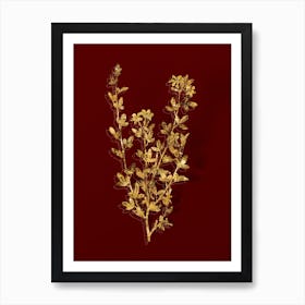 Vintage Yellow Jasmine Flowers Botanical in Gold on Red n.0428 Art Print