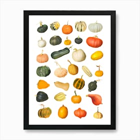 Pumpkins And Gourds And Squash Art Print