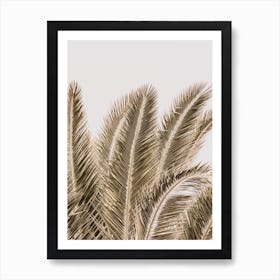 Desert Palm Art Print