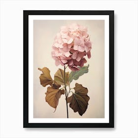 Floral Illustration Hydrangea 4 Art Print