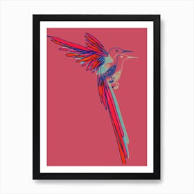 Hummingbird004 Art Print