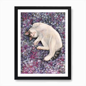 Cat In Flower Field Art Print