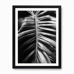 Black And White Leaf Art Print