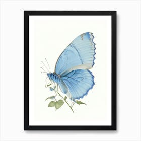 Common Blue Butterfly Vintage Pastel 1 Art Print