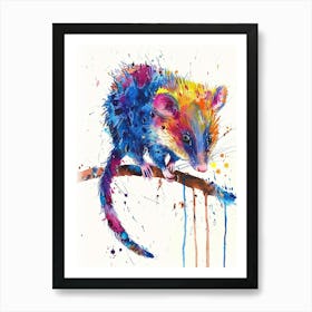 Opossum Colourful Watercolour 1 Art Print