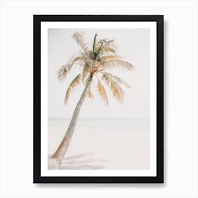 Pastel Palm Tree Art Print