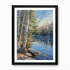 Birch Trees By The River 6 Art Print