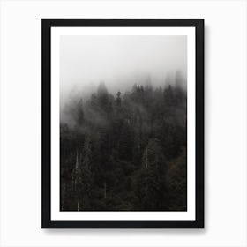 Rugged Foggy Forest Art Print