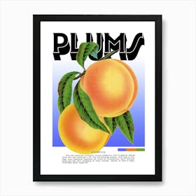 Plums Graphic Wall Art Vintage Unique Eclectic Art Print