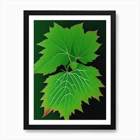 Thimbleberry Leaf Vibrant Inspired 2 Poster