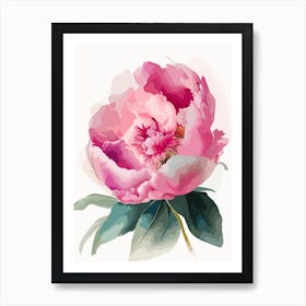 Peony Wildflower Watercolour Art Print