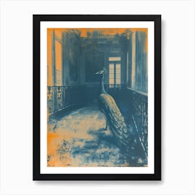 Orange & Blue Peacock In A Palace Art Print