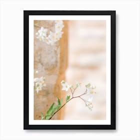 Small White Flowers And Pastel Art Print