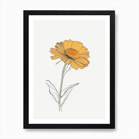 Calendula Floral Minimal Line Drawing 1 Flower Art Print