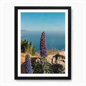 Big Sur Blooms Art Print