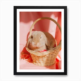 Rabbit In A Basket 1 Art Print