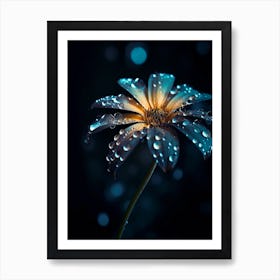 Water Drops On A Flower Art Print