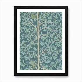 Noble Fir tree Vintage 2 Botanical Art Print