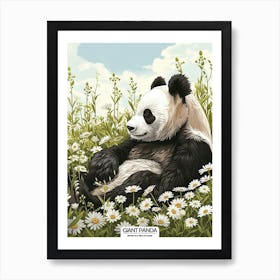 Giant Panda Resting In A Field Of Daisies Poster 2 Art Print