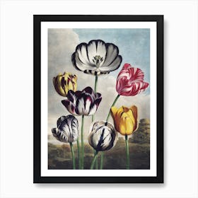 Vintage Thornton 5 Tulips Art Print