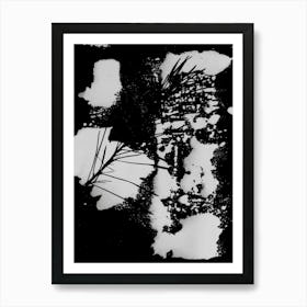 Black And White Abstract Nature Art Print