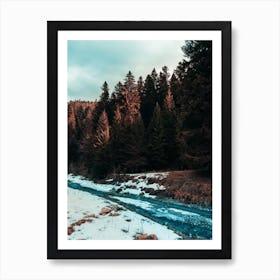 River By The Forest Art Print