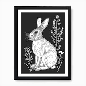 Beveren Rabbit Minimalist Illustration 1 Art Print