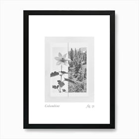 Columbine Botanical Collage 3 Art Print